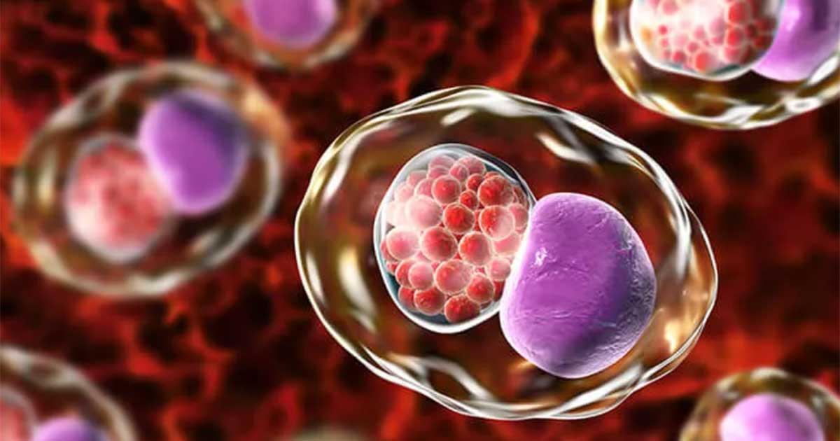 penyakit menular seksual