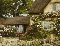 Cottagecore: Romantisme Desa di Era Instagram