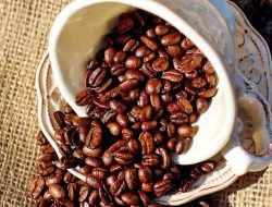 Kopi Gayo: Perjalanan Sejarah dan Budaya Kopi Aceh