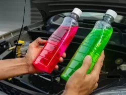 Perbedaan Air Radiator Hijau dan Merah: Apakah Penting?
