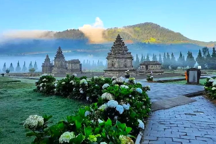 hidup tanpa kulkas di dieng