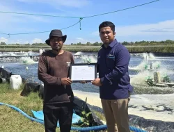 Kecerdasan Buatan dalam Memprediksi Panen Udang di Tambak Sulawesi