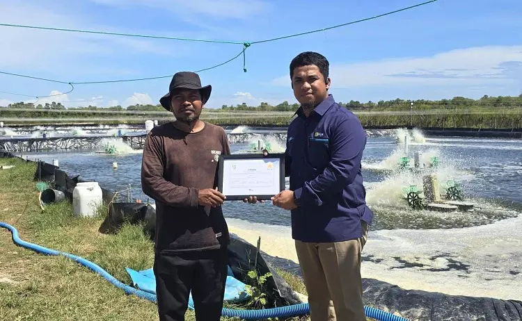 prediksi panen tambak udang