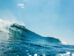 Energi Laut: Masa Depan Energi Bersih dari Samudra