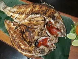 Kuliner Laut Sulawesi: Cita Rasa dari Laut Dalam