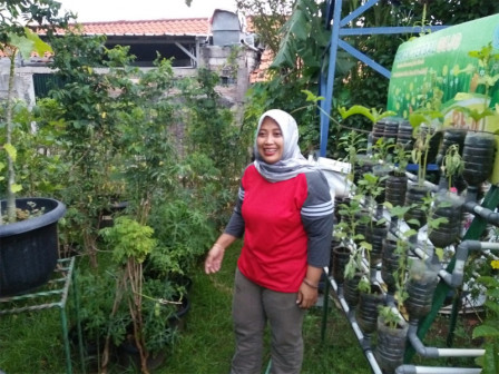 tanaman obat keluarga