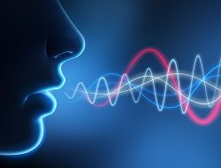 Voiceprint sebagai Identitas Digital Baru