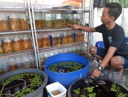 Bekerja di Bidang yang Kita Cintai: Apakah Selalu Ideal?