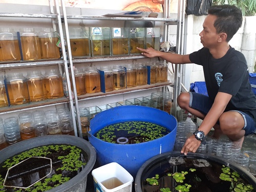 Bekerja di Bidang yang Kita Cintai