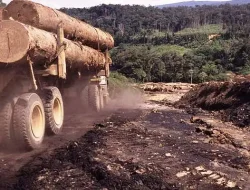 Ajaran Sederhana yang Mengajarkan Anti-Eksploitasi Alam