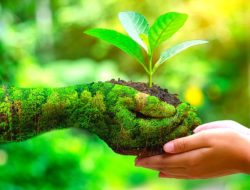 10 Kebiasaan Kecil yang Membuat Gaya Hidupmu Lebih Hijau