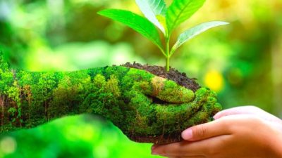 10 Kebiasaan Kecil yang Membuat Gaya Hidupmu Lebih Hijau