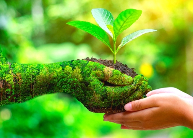 kebiasaan kecil gaya hidup hijau