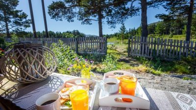 sarapan ditengha hutan