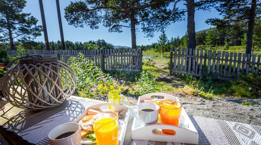 sarapan ditengha hutan