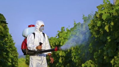 Pestisida di Sayuran