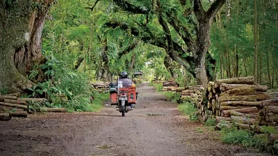 Angin Tak Lagi Sejuk: Kota yang Kehilangan Nafas