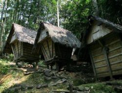 Desa yang Bertahan Hidup Tanpa Listrik demi Menjaga Alam