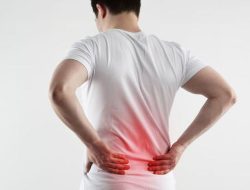 Hidup Tanpa Sakit Pinggang: Ergonomi Bukan Cuma Gaya