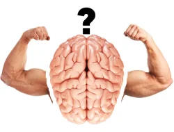 Otak sebagai Otot: Cara Melatih Pikiran Seperti Gym