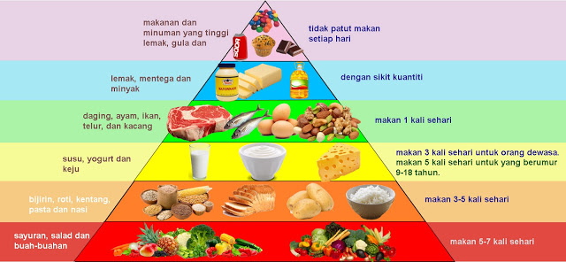 panduan diet seimbang