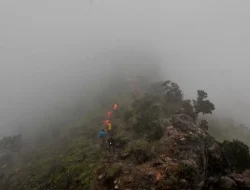Erosi Di Lereng Gunung: Dampak Hilangnya Vegetasi Alami