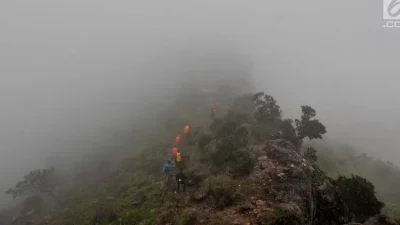 Erosi Di Lereng Gunung: Dampak Hilangnya Vegetasi Alami