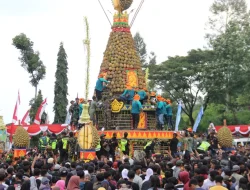 Festival Durian di Desa Jombang: Tradisi Makan Bareng di Bawah Pohon Tua