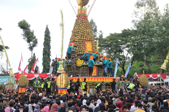 Festival Durian di Desa Jombang