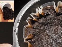 Mengubah Limbah Kopi Menjadi Kompos Cair Organik