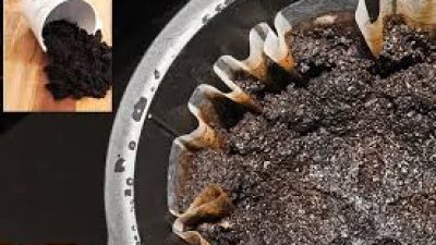 Mengubah Limbah Kopi Menjadi Kompos