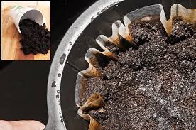 Mengubah Limbah Kopi Menjadi Kompos