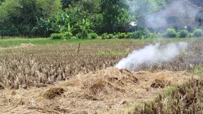 Risiko Kesehatan dari Asap Pembakaran Jerami