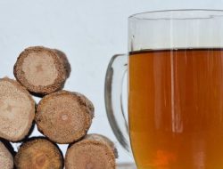 Tumbuhan Obat Asli Nusantara yang Terlupakan