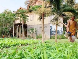 Biksu Menanam Pohon: Tradisi Buddhis untuk Reboisasi Lereng Gunung Salak