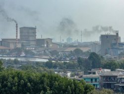 Hidup di Tengah Polusi: Adaptasi atau Bunuh Diri Perlahan?