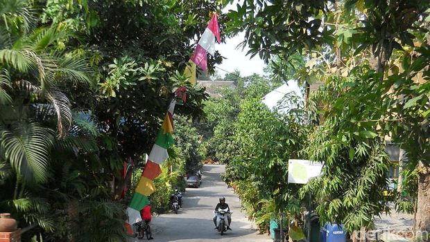 kampung hijau yogyakarta