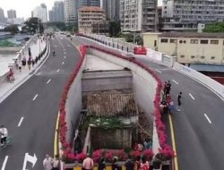 Kampung yang Terbelah Jalan Tol: Ketika Mobilitas Merusak Ekosistem