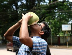 Minum Tanpa Sedotan: Perubahan Kecil untuk Lautan yang Lebih Bersih