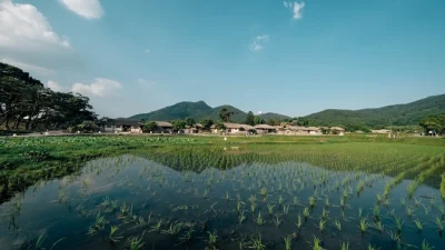 Pindah dari Kota ke Desa: Gaya Hidup Slow Living yang Kini Jadi Tren
