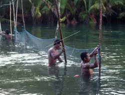 Tradisi Sasi di Maluku: Menghormati Alam dengan Larangan Memancing