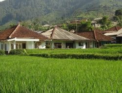 Seni Menjadi Biasa di Dunia yang Luar Biasa